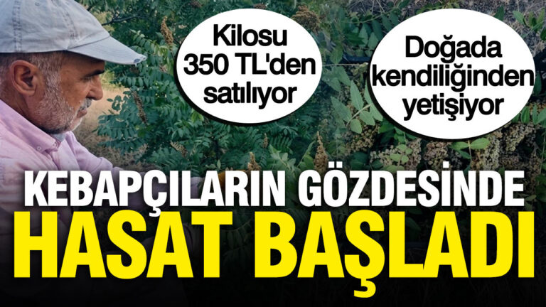 haber-gorseli-1786450466745