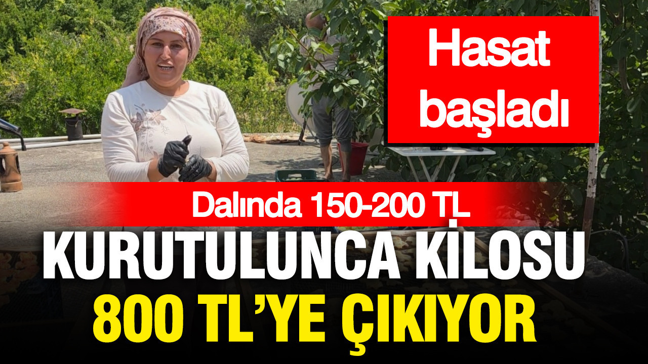 haber-gorseli-1786463515101